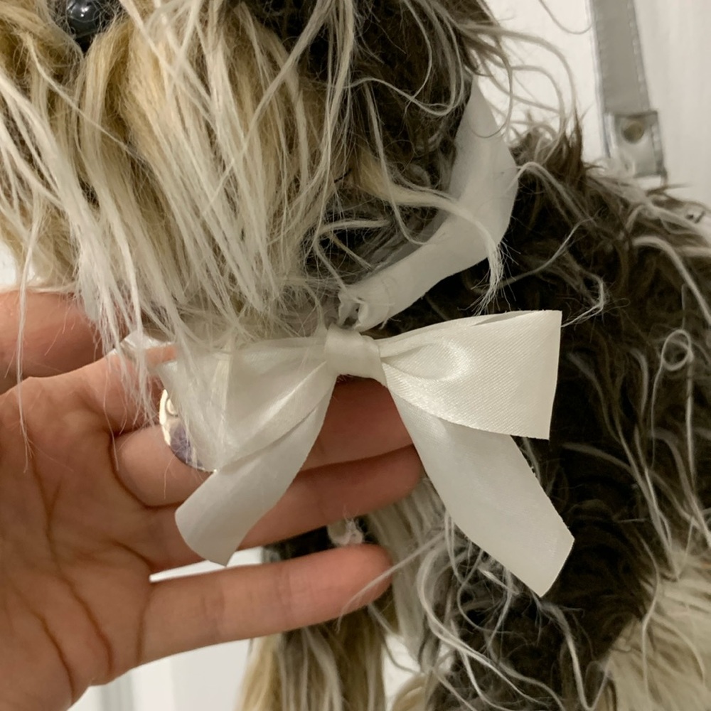 Doggy Bag Yorkshire Terrier Puppy Bag - Picture 8 of 16